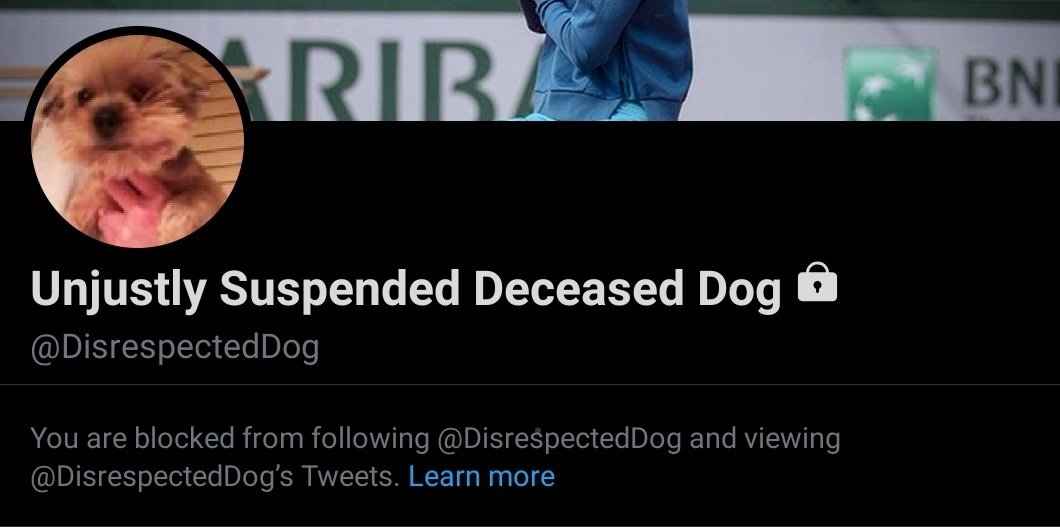 BlazedGeek's tweet photo. @Chub_Crumbkin @DisrespectedDog @LifeOfMikePod Its well deserved https://t.co/UxyUgK2Ueg