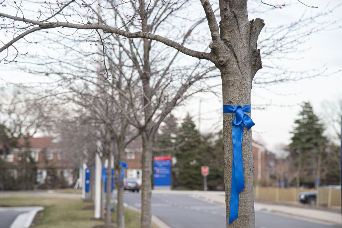 BeaumontHealth's tweet photo. Blue ribbons hung throughout our campuses to show support for front-line staff working to treat, screen and prevent the spread of COVID-19. https://t.co/5DDpMDIAPn