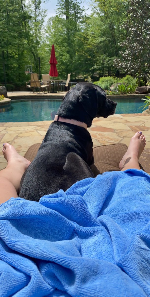 hkullman's tweet photo. It was a nice day to get a tan .... #CoronaChronicles #CollegeChronicles https://t.co/CdbGxcNzXQ