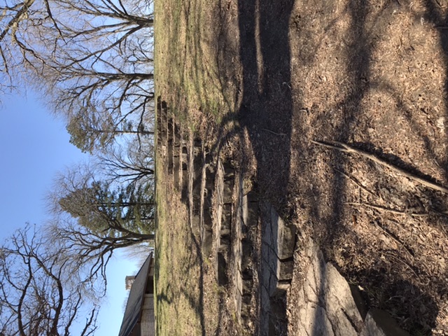 AnnetteLangan's tweet photo. Took great drive this morning, took pictures Hummel Park, for @BustingBadGuys 2nd book, stay tuned! https://t.co/jxSczqVbFU