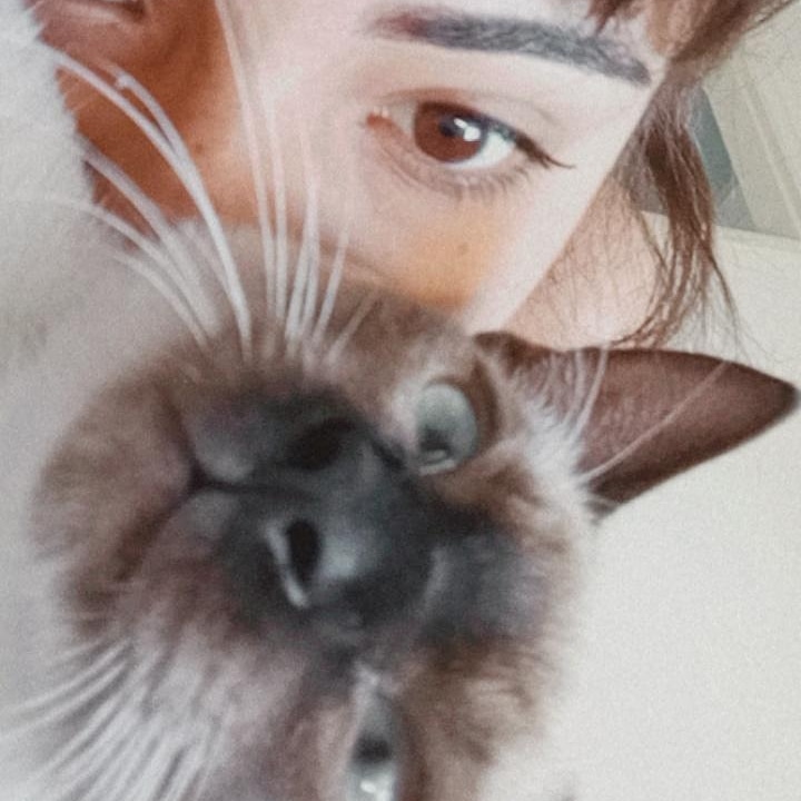 httpsraven's tweet photo. Ah... esse é o Salem mas minha mãe chama ele de fidido .
Meu gatito de Chernobyl 🐱
#petwards https://t.co/hUvdLBuAWF