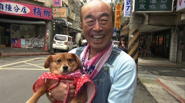 志村けんが飼っていた愛犬の殿とチロの現在は 引き取り先やその後を調査 Macoログ