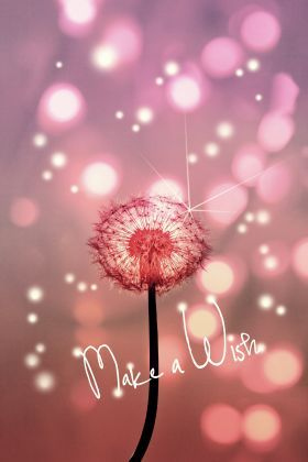 MariaSelleck's tweet photo. 🧚🏼‍♀️ Sometimes just putting a wish out there builds energy that can drive the universe...let's make that energy grow together.

#dailyquote #msp #canberra #mariaselleckproperties  #mariaselleck

https://t.co/ykHnjgNNeC https://t.co/dlelolIIZX