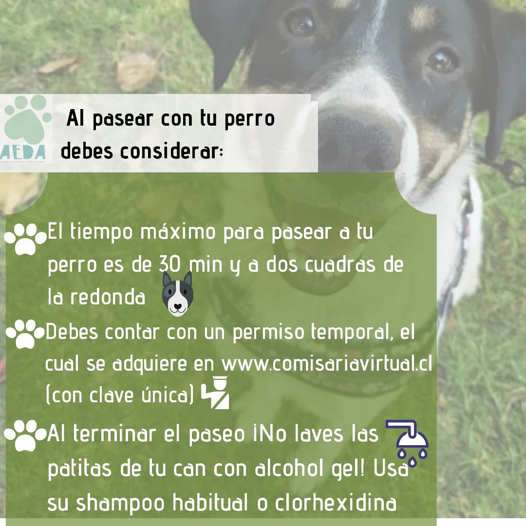 AEDA (@grupoaeda) on Twitter photo 