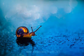 Semra Sevimli tweet media