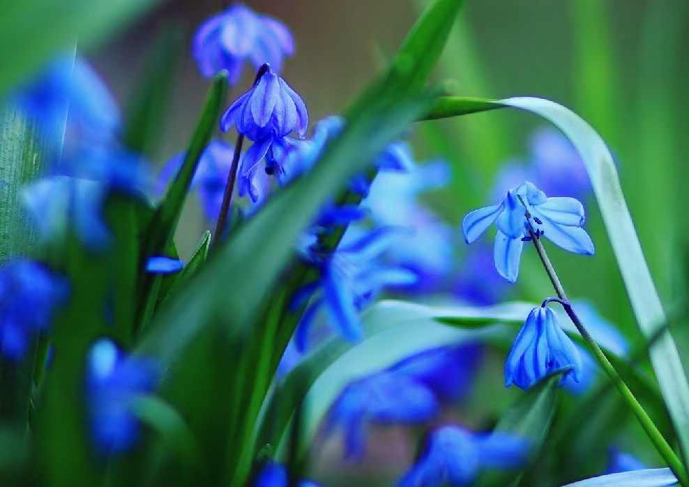 Semra Sevimli tweet media