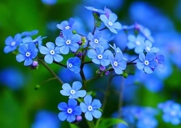 Semra Sevimli tweet media