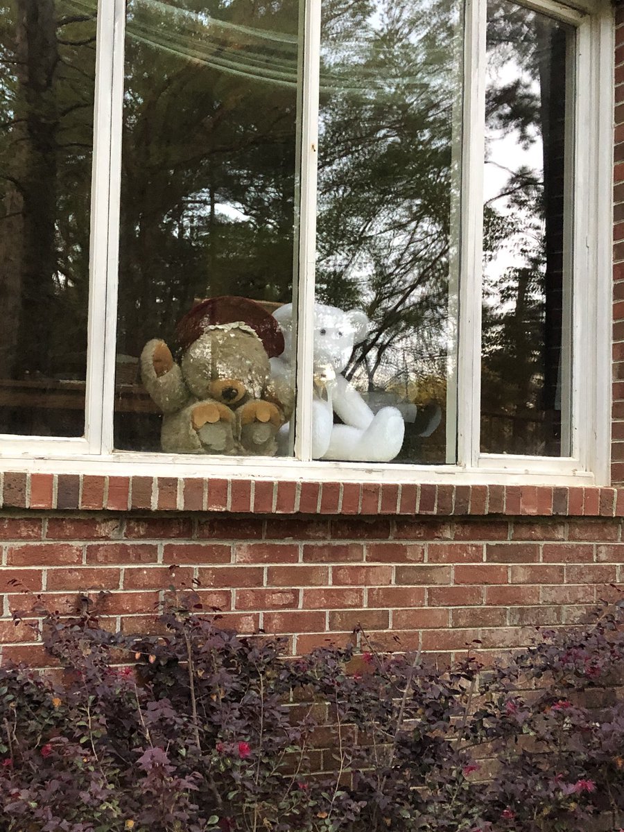 There is a bear hunt in Saluda! 🐻 Love that our neighbors wanted to participate in some quarantine fun!
