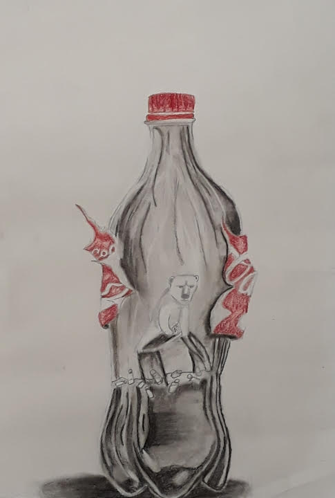 JR7Supt's tweet photo. The following students placed at the recent Eco-Art exhibit in Wildwood: Sundus Malik(1), Megan Partney(2) &amp; Sirena Heberlie(3). Congrats! @R7Activities @R7FineArts @jhscounselorr7 @R7Bluejays @R7Supt https://t.co/OKtbwZJi9E