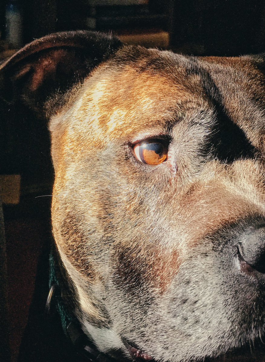 Evan Yuson (@evanyuson) on Twitter photo 