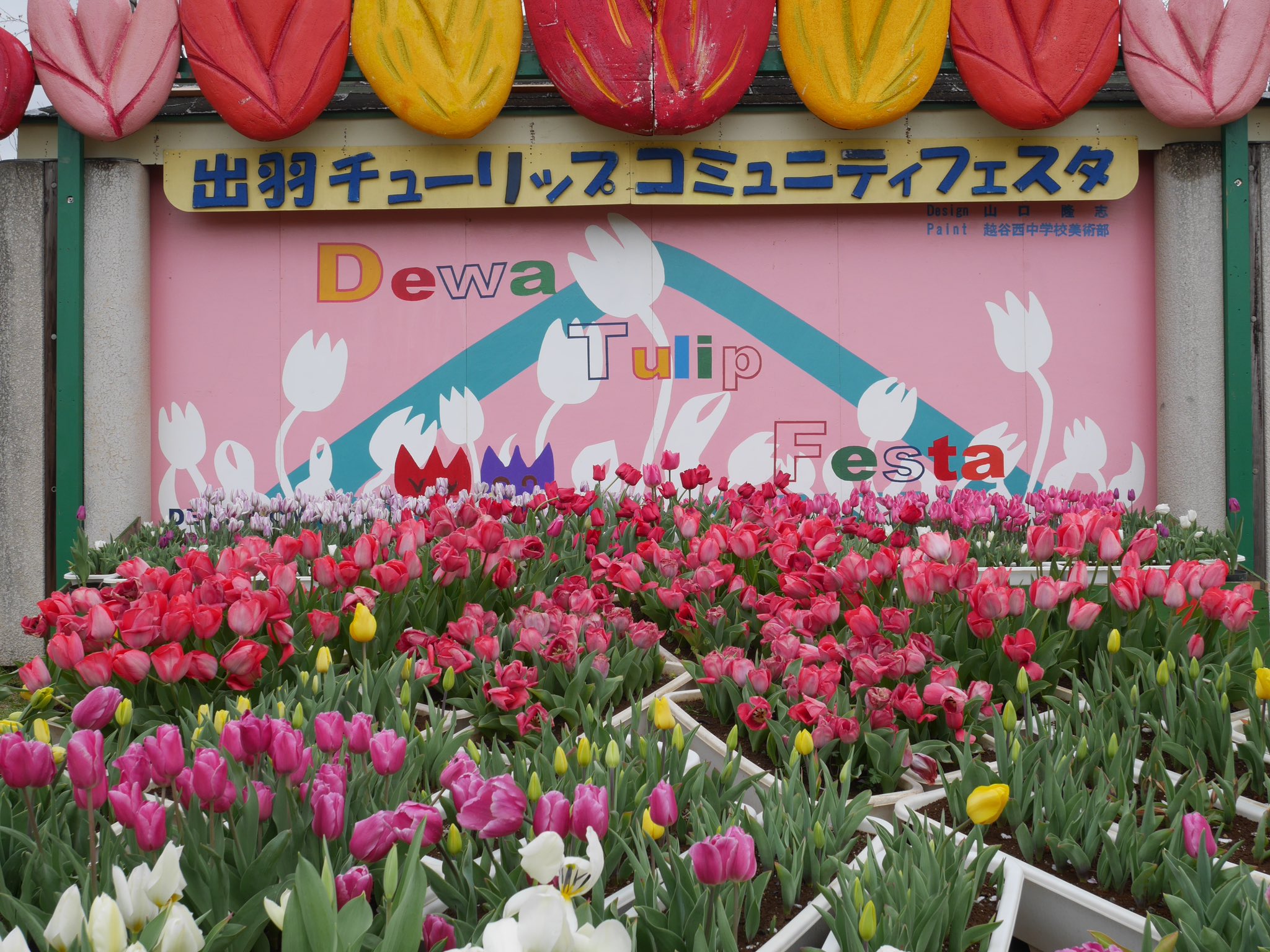 一社 越谷市観光協会 出羽チューリップフェスタ 縮小して開催しています チューリップはまだ早いかな 桜は散り始めています 縮小開催のため露店などはありません ４月5日まで 鑑賞するときは他の人と間隔を開けてください 気分転換や散歩に