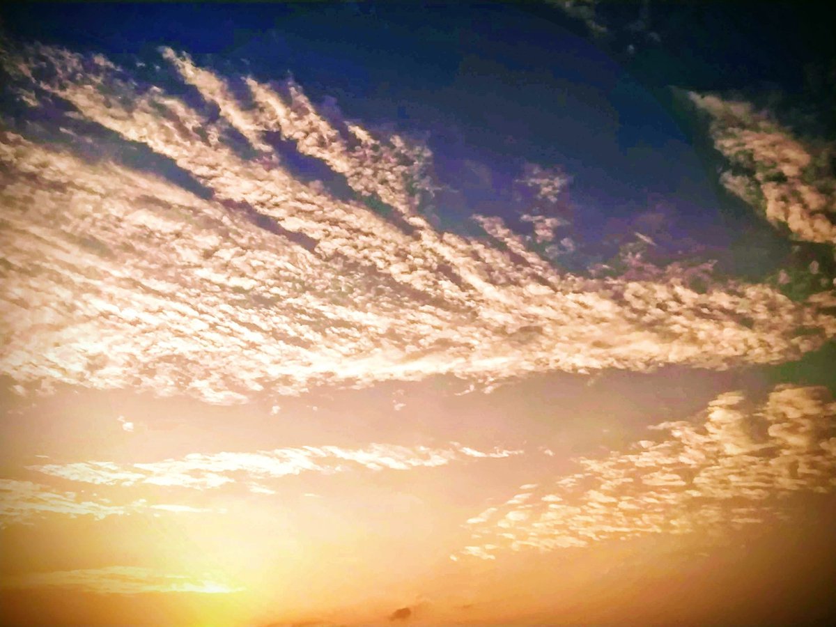 Kritishastrii's tweet photo. Day 3: Sky Spotting
We are just particles in his game called Life.
#socialdistancing #Skyphotography #clouds #21dayslockdown #lockdown2020 #meditativelife #covid19 #Covid #cloudspotting #Stayhomesavelifes #stayhomestaysave #stayhomechallenge #lifegoals
#IndoorsShotonOnePlus https://t.co/OcxPW7GLvr