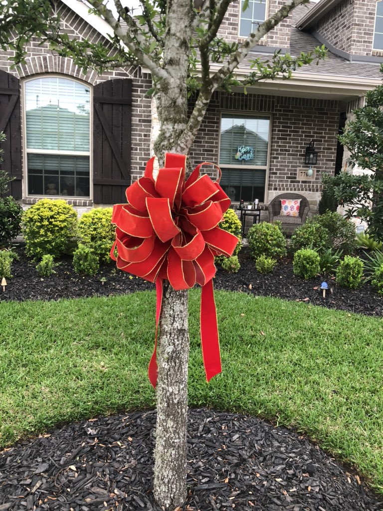 lorijowestgard's tweet photo. This is starting in Houston by someone who loves our country. Everyone please tie a red ribbon around a tree in your front yard to show you are praying for our country. Great idea!!  Thank you!!  #coronavirus @Cheesehead1166 https://t.co/PFh6kcmjPf