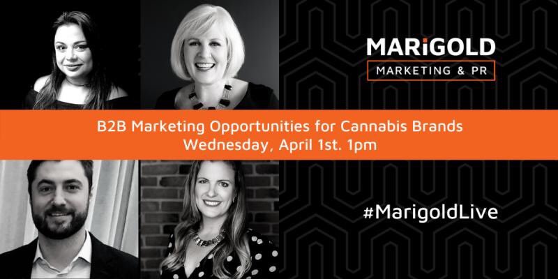 Wednesday on #MarigoldLive <a href="/GrowOpportunity/">Grow Opportunity</a> + <a href="/detonateCA/">Detonate Cannabis</a> join us to discuss paid, owned and earned media opportunities for #cannabis brands. Register today, space is limited. 👇

eventbrite.ca/e/marigold-liv…