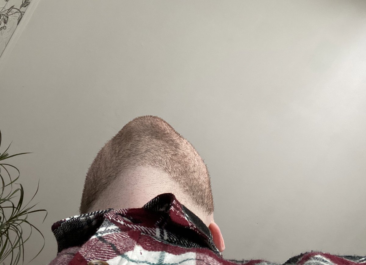 EdwardEncode's tweet image. Первый день работы по удаленке -
я волосатая залупа в рубашке.