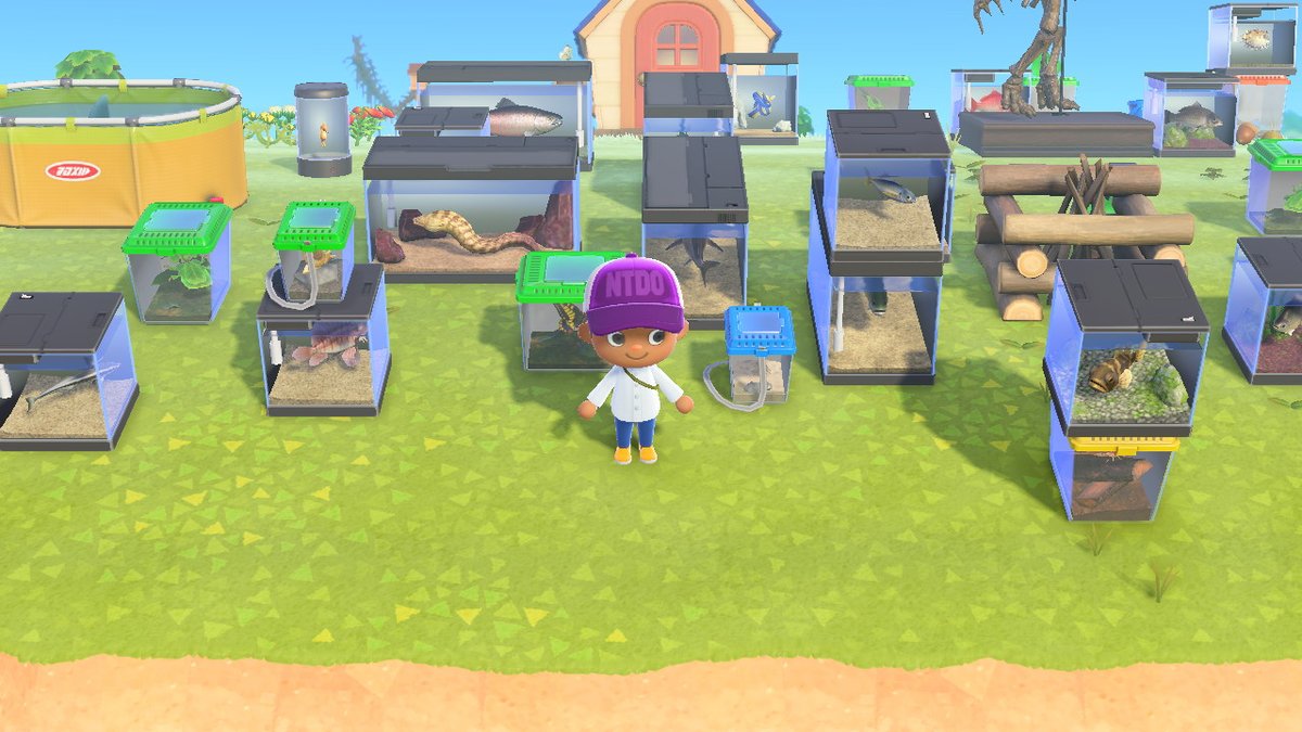 #AnimalCrossing #ACNH #NintendoSwitch