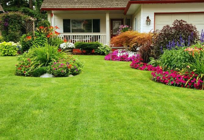 BusStopReno's tweet photo. #Day4lockdown here's something to do with your family๐
Gardens add the final touches to making your home ๐
You do know it needs to be maintained right?
๐ watch this garden nourishing trick by @BuildersSA
https://t.co/qRjIO1k8Sh
#BusStopReno #BuildersSA #DIY #HowToWithZak https://t.co/hnRTBeIPiH