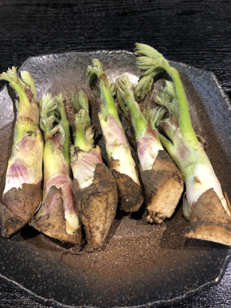 ট ইট র 一心 Japanese Izakaya 本日のおすすめ 兵庫産ほたるいかが入荷してます 熊本産新たけのこ煮もどうぞ 群馬産のうどは酢味噌 天ぷらお好みで 豚ヒレ味噌漬けもおすすめです 本日も皆様のご来店お待ちしてます ほたるいか 新 ট ইট র 一心 Japanese Izakaya 本日のおすすめ 兵庫産ほたるいかが入荷してます 熊本産新たけのこ煮もどうぞ 群馬産のうどは酢味噌 天ぷらお好みで 豚ヒレ味噌漬けもおすすめです 本日も皆様のご来店お待ちしてます ほたるいか 新