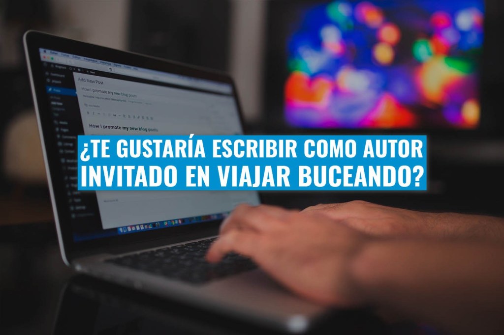 viajarbuceando's tweet photo. ¿Te gustaría escribir como autor invitado en Viajar Buceando? https://t.co/yf6SgQHNqa https://t.co/pUrGZIZAHM