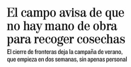 Mira qué bien, <a href="/vox_es/">VOX 🇪🇸</a>, la falta de inmigrantes os ha dejado libre unos cuántos puestos de trabajo de esos que robaban. Ya podéis ocuparlos vosotros.