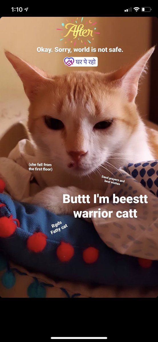 5hradha's tweet photo. Damn. We panic so much when it comes to our pets. She’s better now. Phew. But I only trust @5hreenit to make memes in this situation. Enjoy. https://t.co/uI9mAbtkFU