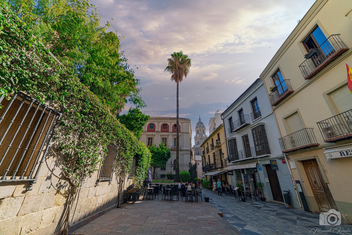 Zappa_Malaga's tweet photo. Un día menos...

Málaga https://t.co/mgx0n3Ou1Z