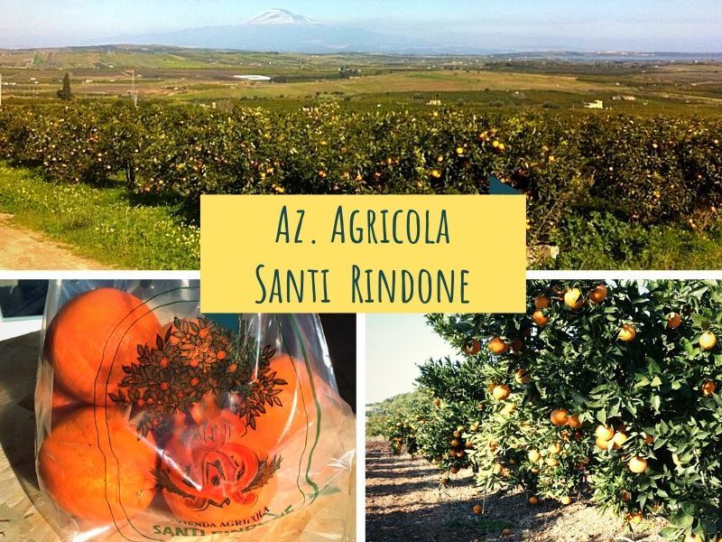 Ultima settimana di #arance del produttore Azienda Agricola Santi Rindone - Arancia Sicilia!

➡️➡️➡️Non perdete la vostra busta di #Arance #Navel-#Powell, vi aspettiamo su <a href="/Kalulu_it/">Kalulu</a>: buff.ly/33Ut4iS! ⤵️⤵️⤵️