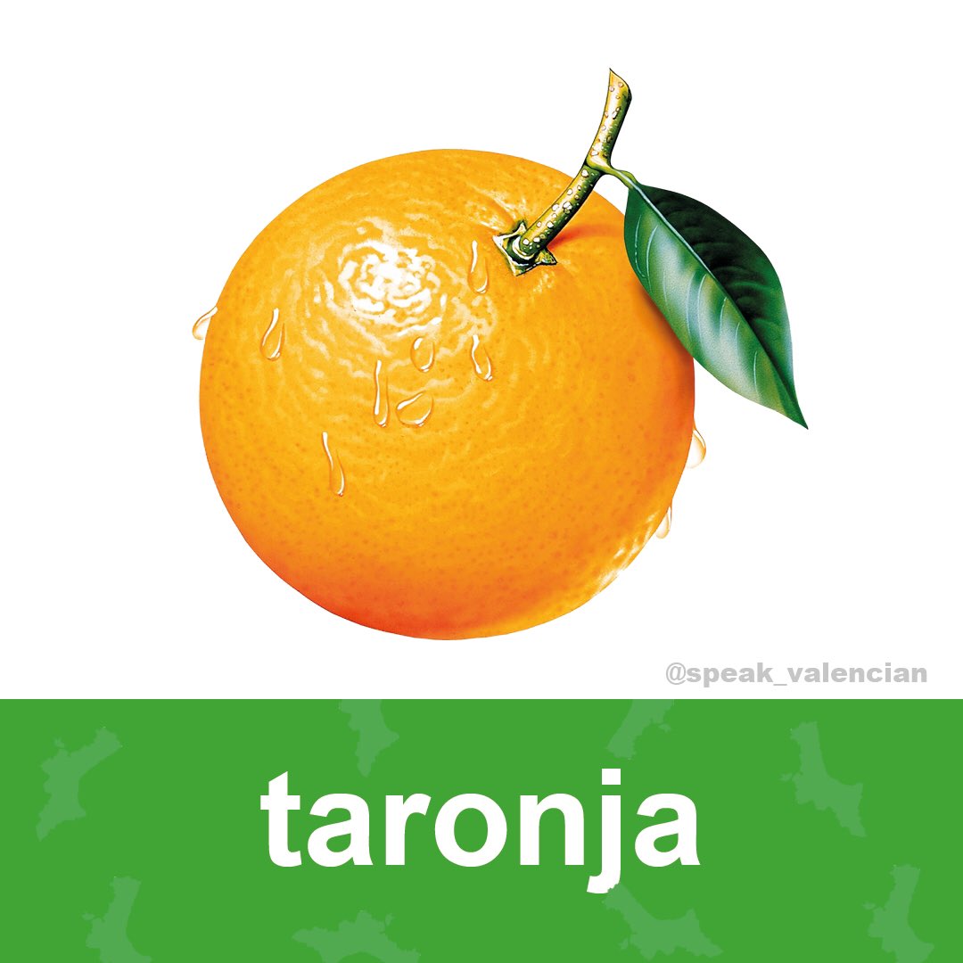 speakvalencian's tweet photo. Valencia is a traditional exporter of oranges and mandarins.
#taronja #taronjavalenciana #orange #corfa #orangesegment #fruits #fruitsvocabulary #síalvalencià #paraulesenvalencià #learnValencian #parlemvalencià #ComunitatValenciana #llenguavalenciana #aprendevalenciano https://t.co/yMRQy1EpjZ