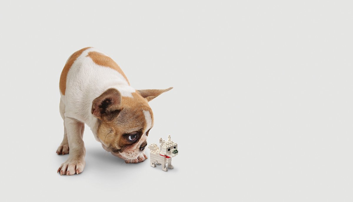 Remember your social distancing! Do not go outside unless you absolutely need to! 

To help pass the time trying building your favourite animal! Whether it's your dog, cat or something more wild! 

#mondaymorning #socialdistancing #quarantine #coronavirus #mondaymotivation