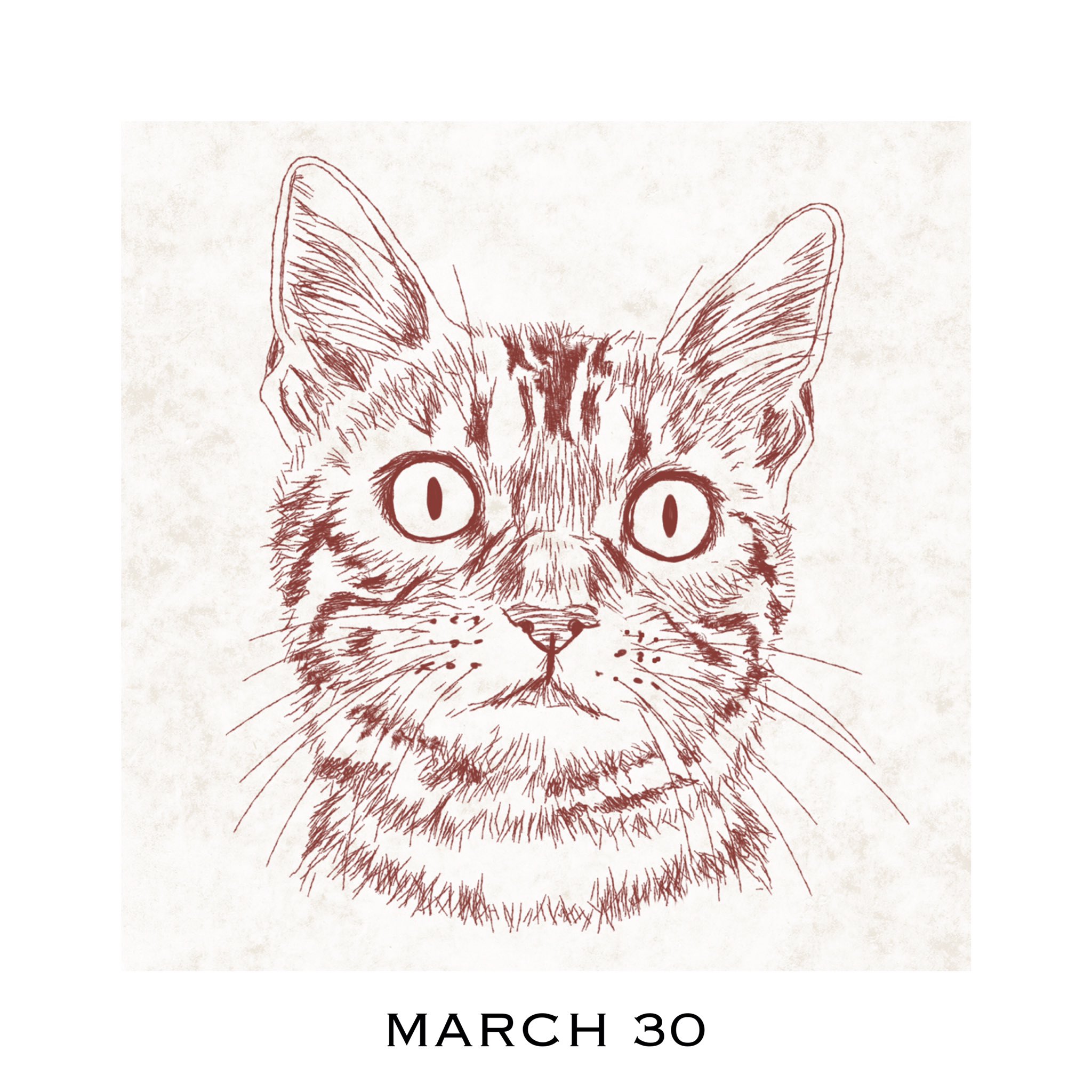 猫好きイラストレーター 365cat Art En Twitter 3月30日 ご飯作るにゃっ 猫の似顔絵 動物のイラスト 描いてます インスタも見て T Co 1lhrrxj5af 猫カレンダー 365catart 猫好きさんと繋がりたい 猫似顔絵 猫イラスト 猫好きイラストレーター 365cat Art En Twitter 3月30日 ご飯作るにゃっ 猫の似顔絵 動物のイラスト 描いてます インスタも見て T Co 1lhrrxj5af 猫カレンダー 365catart 猫好きさんと繋がりたい 猫似顔絵 猫イラスト