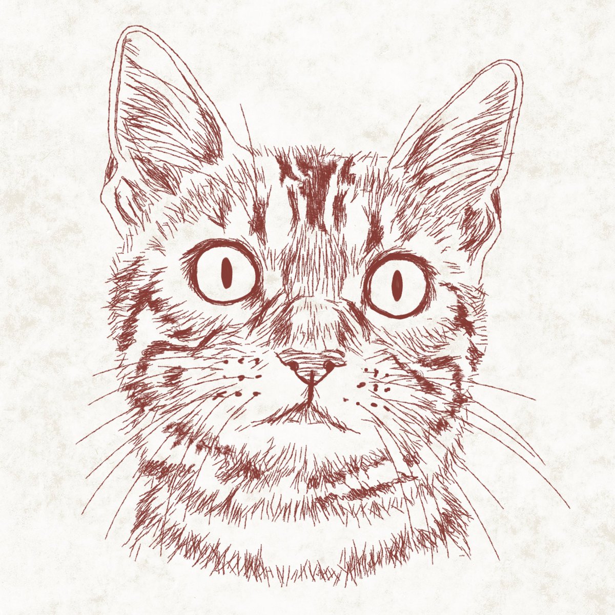 猫好きイラストレーター 365cat Art على تويتر 3月30日 ご飯作る
