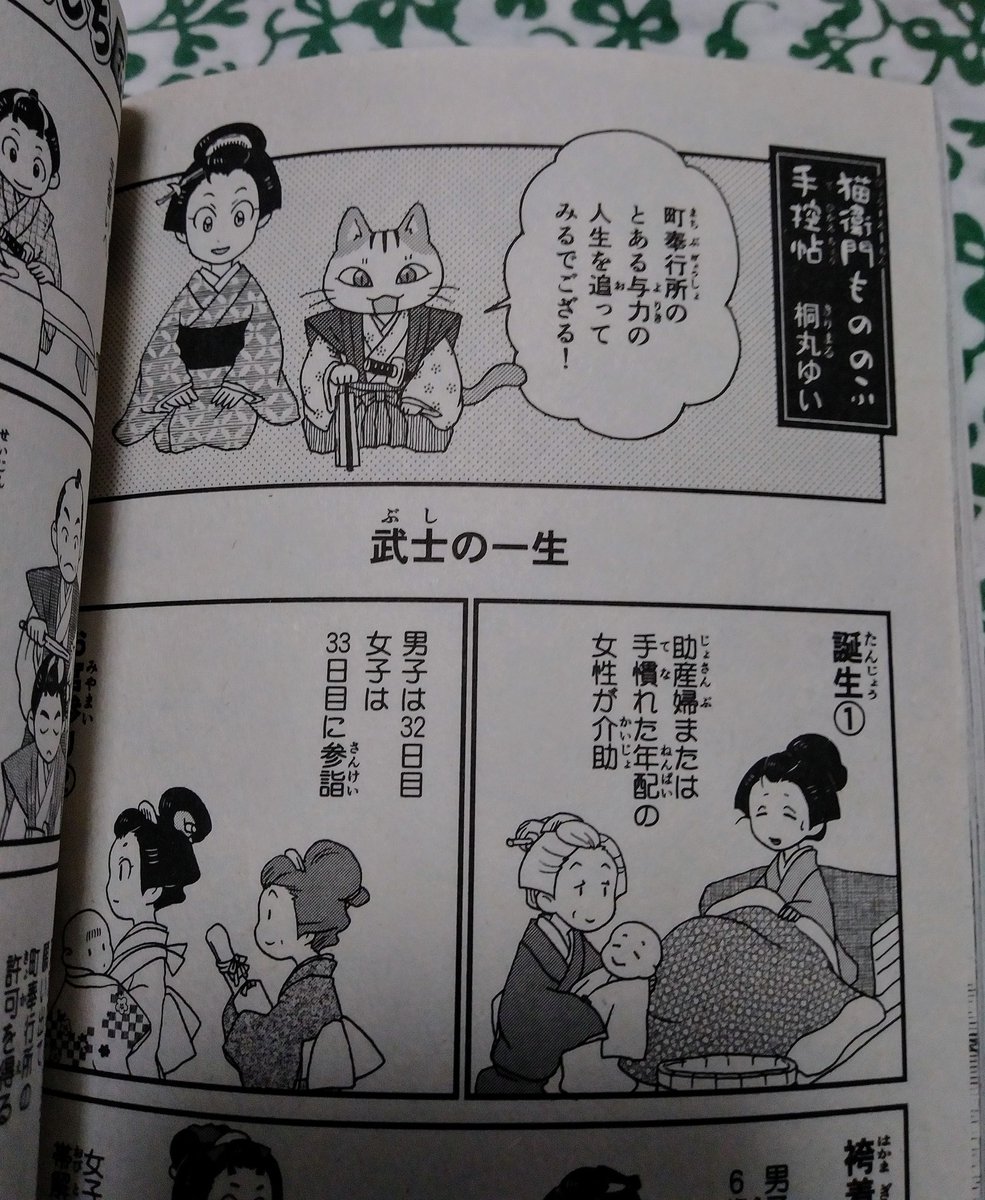 武士について、ぼんやり理解していたことを改めて調べてみることで江戸の楽しみ方がまたひとつ増えたような気がします😉 