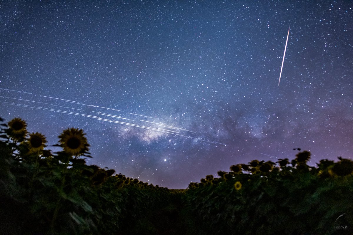 Space photo moment - Starlink Satellite Trails over Brazil by Egon Filter ( https://apod.nasa.gov/apod/ap191210.html)