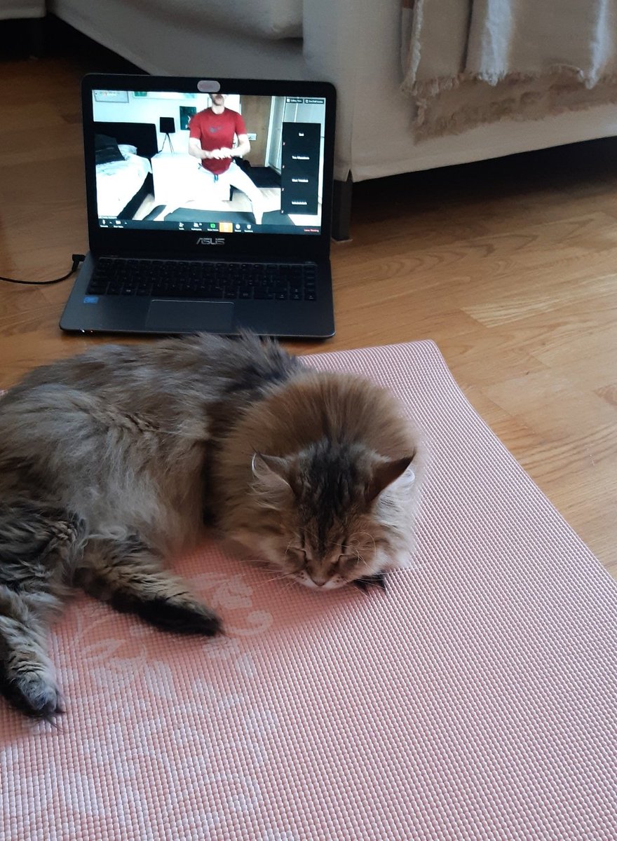EssiMurto's tweet photo. Työkaverilla ei ollut tänään niin hyvä #moveofiilis, mutta ainakin mun etäviikko starttasi hyvin aamujumpalla! 💥

#LABathome @LABfinland 
#homeofthecurious @UniLUT https://t.co/uHIxrqO8TH