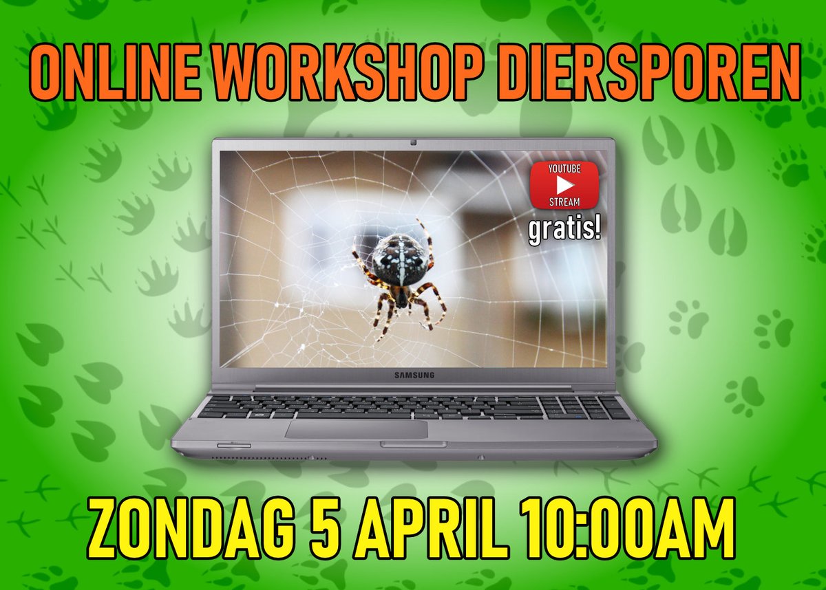 2e GRATIS WORKSHOP #DIERSPOREN

Aankomende zondag geven we er wéér een! Ditmaal over sporen in &amp; rond het huis. Leuk om te kijken met het gezin en daarna op zoek te gaan! Zondag 5 april 10:00AM:  youtu.be/UE8yfLBq1Xk

Let op: Is niet achteraf meer te bekijken! Wees er bij :)