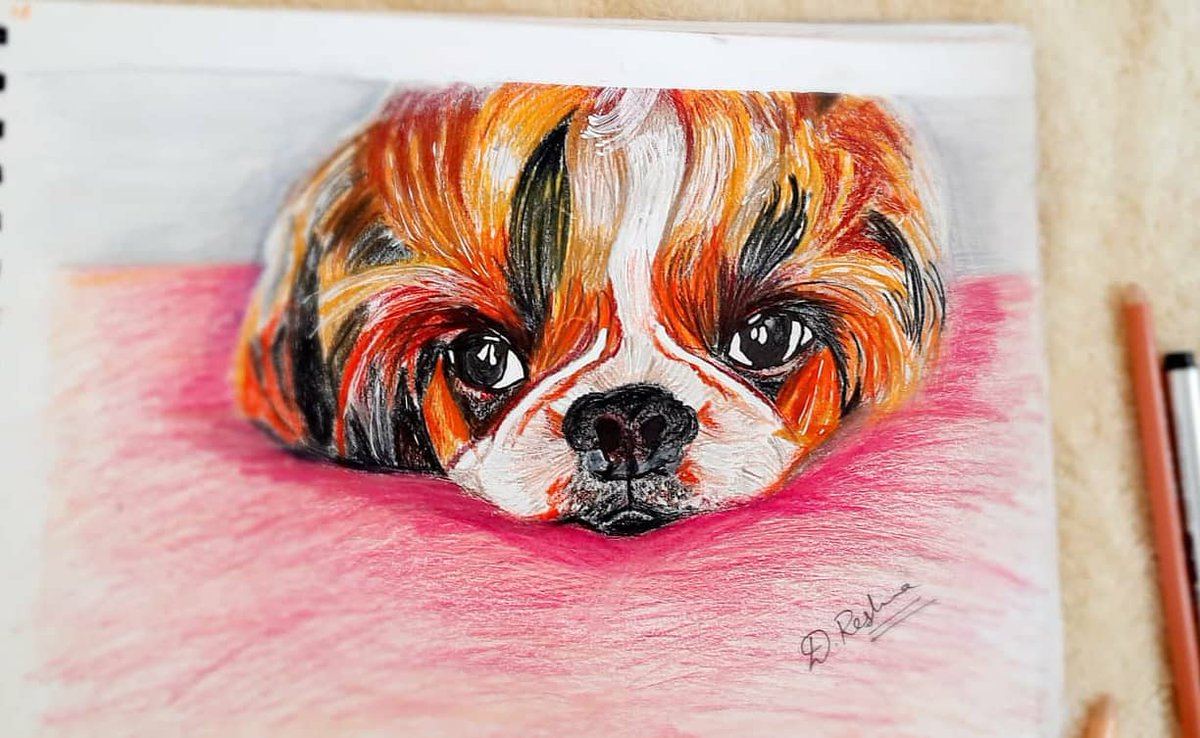 Jiminieesgirl's tweet photo. How is mickey? @BTS_twt @BangtanINDIA @BangtanINDIA #bts #mickey #mickeybts #BTS #BTSARMY #btsfanart #dogs #portrait #3dart #BTS_twt #dogsoftwitter #DogLover https://t.co/duwXaBx8ga