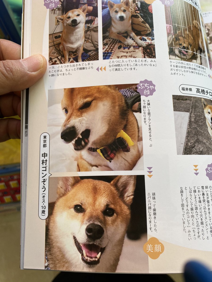 Shi Ba Twitter Search Twitter