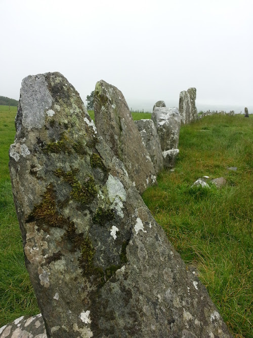 DanielCollins85's tweet photo. Is everyone aware there's a stone circle older than Stonehenge and Egypt's pyramids in Donegal? It's not very well publicised, but it's called the Beltany stone circle, named after the Gaelic festival of 'Bealtaine'. You'll find it outside Raphoe, in a field full of sheep dung.👌 https://t.co/YuORG9Y7oh