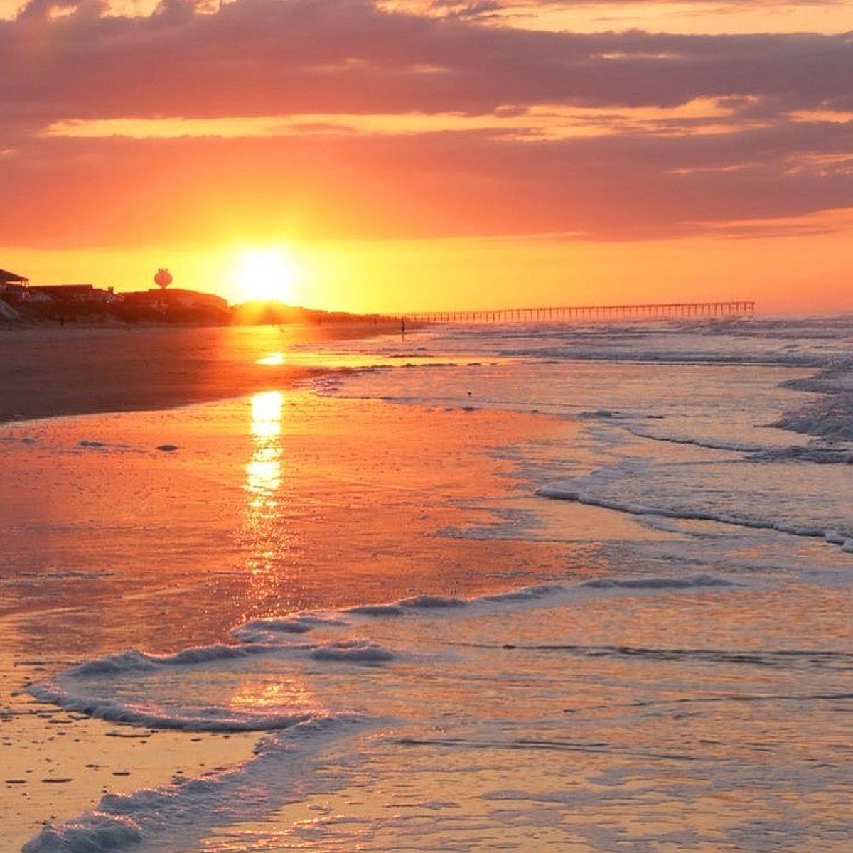 A glimpse of beauty and joy during these uncertain times