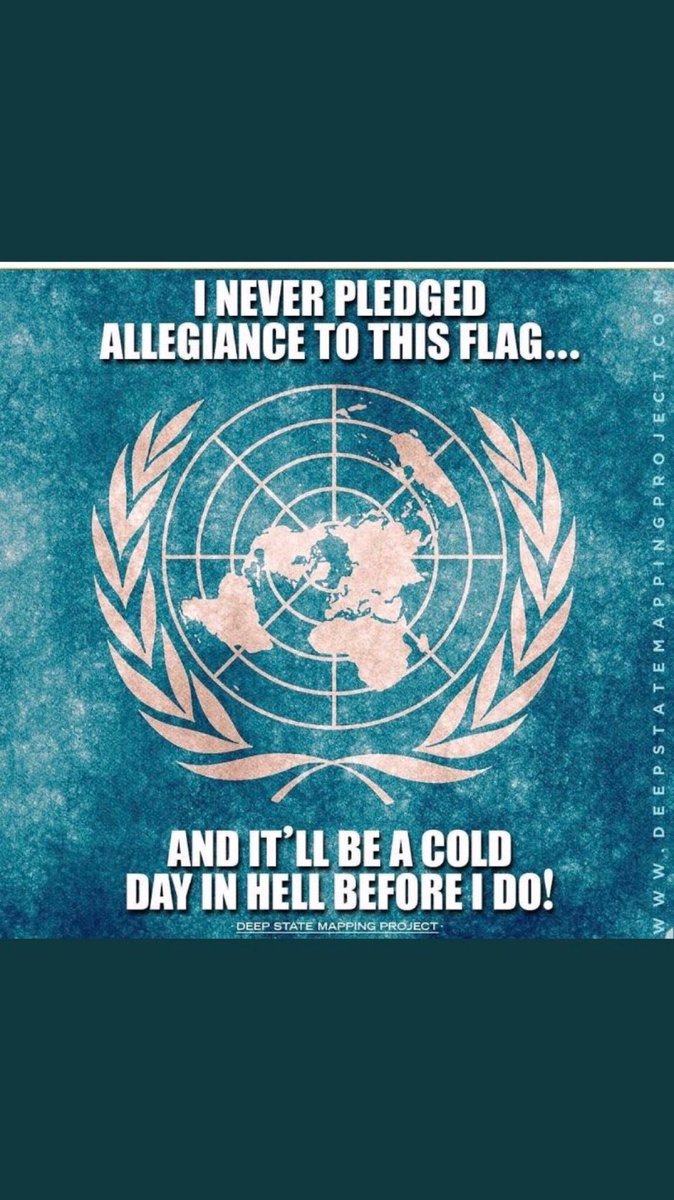 GothamBatSignal's tweet photo. You need to watch this video series to understand the parallels between Hitler's rise to power/reign and what Jahidi Bin-Lying Justin along with the UN/Soros/China is doing with Canada

#ProveConfederation happened: Alberta is out of here!

#Agenda21
#LiberalismIsAMentalDisease https://t.co/KJM7CDCklR