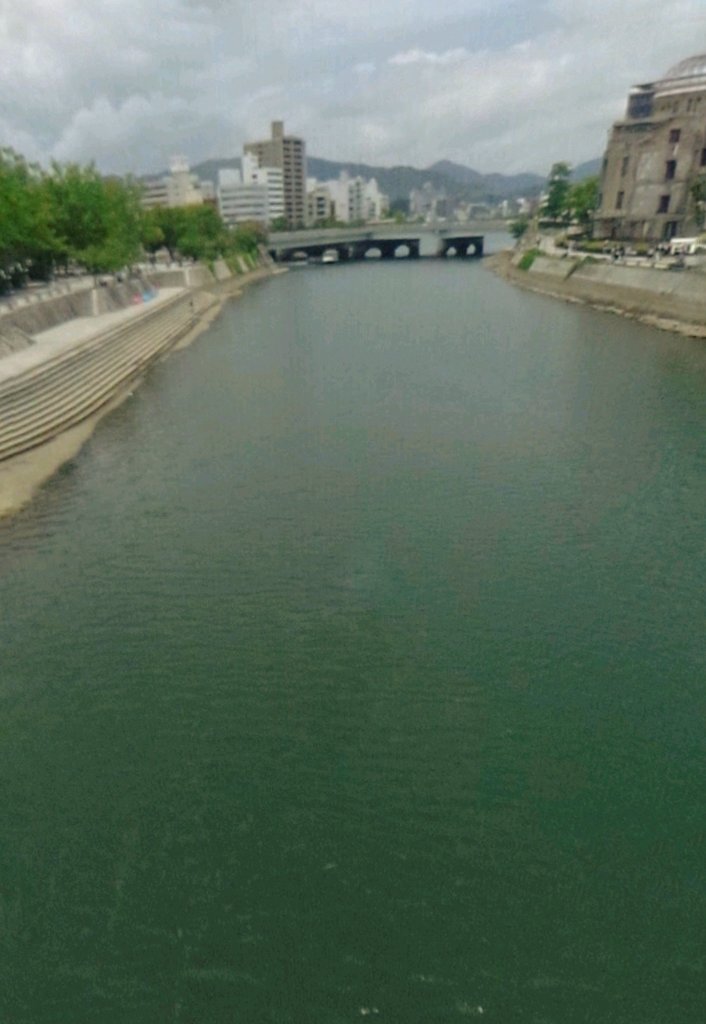 I was walking and I stopped to wonder, why is the water green colour?