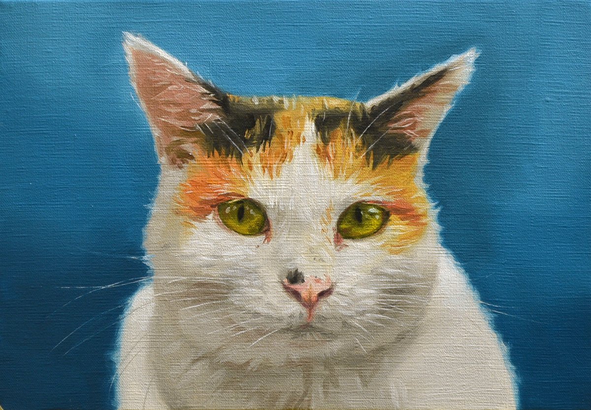 絵画『5枚のTシャツ(B)』ヘイ平山画