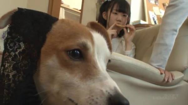 昴 Twitter પર Mg2b5 時間停止してんのに犬には効いてなくて男優がパンツ被せたりして死ぬほど笑った T Co Wfsmrcqlj0 Twitter