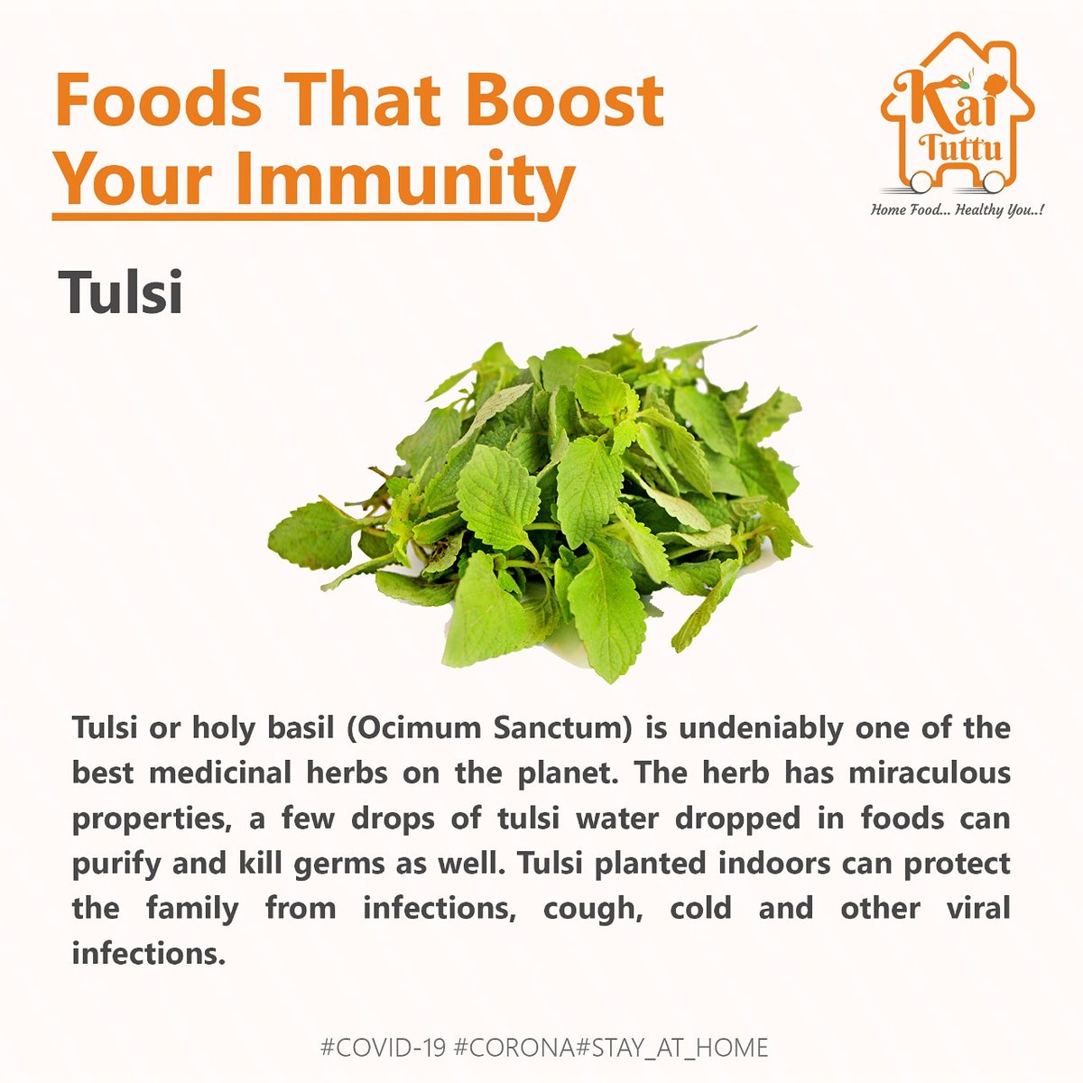 kaituttu's tweet photo. Tulsi or holy basil (Ocimum Sanctum) is undeniably one of the best medicinal herbs on the planet. The herb has miraculous properties, a few drops of tulsi water dropped in foods can purify and kill germs as well. #healthyfood #healthyfoodguide #kaituttu #homemadefood #foodorder https://t.co/W7RxqY0TVP