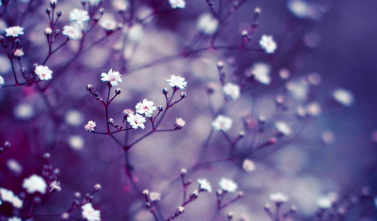 sakura40600602's tweet photo. New week starts

#StayHome #StaySafe
#Mondaymorningblues
#coronavirus 
　　　　　　　　　　sakura✿❀ https://t.co/EAt2mVQsOy