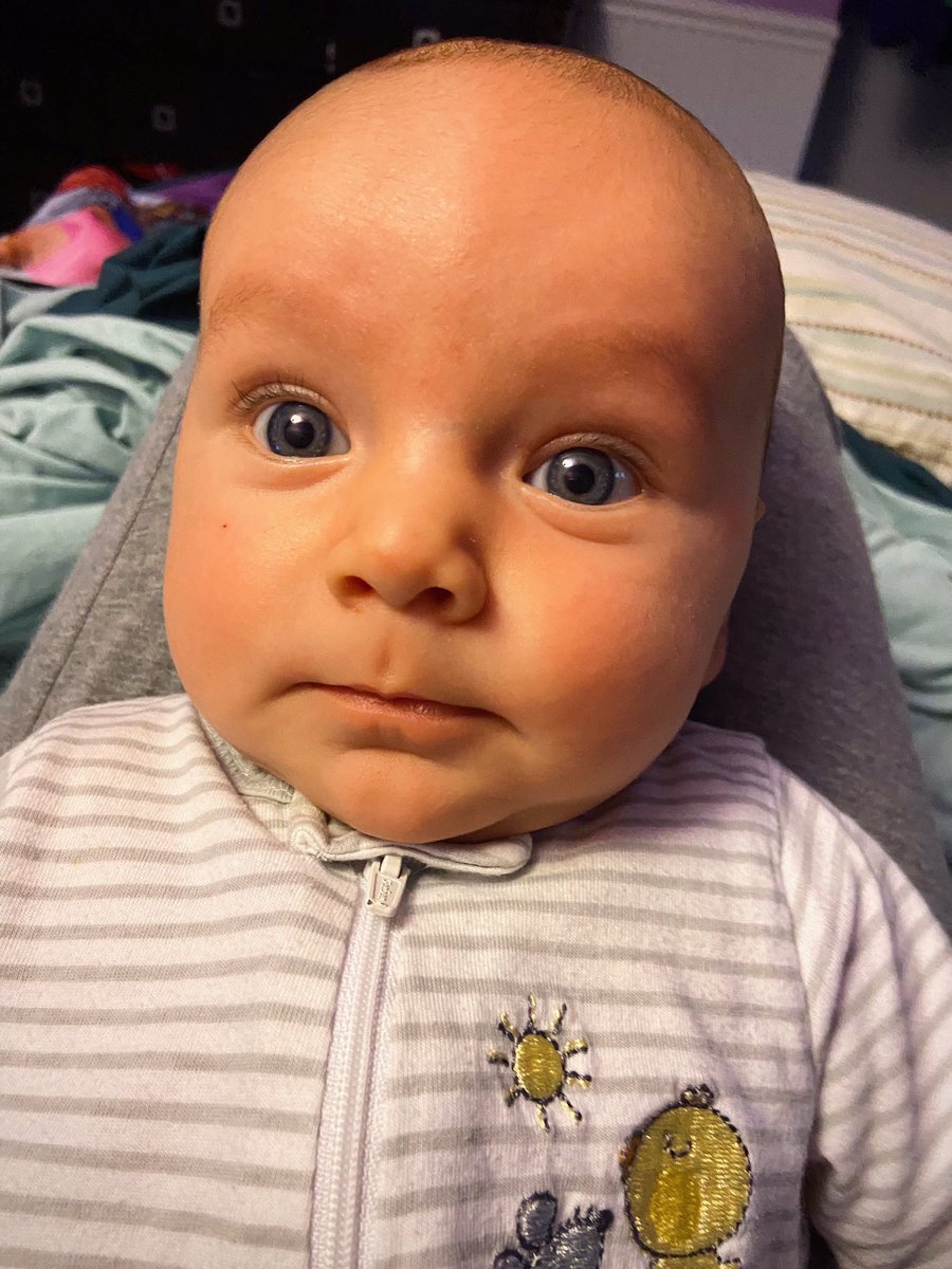 JedDeMuesy's tweet photo. Lil Fos was wide awake for story time tonight! The book of choice was The Little Airplane by Lois Lenski! Foster also got a bonus lesson on intellectual property when I explained Ms. Lenski might get a C&D from Looney Tunes for her final page! #FosterReads https://t.co/mMDCvSKJP0