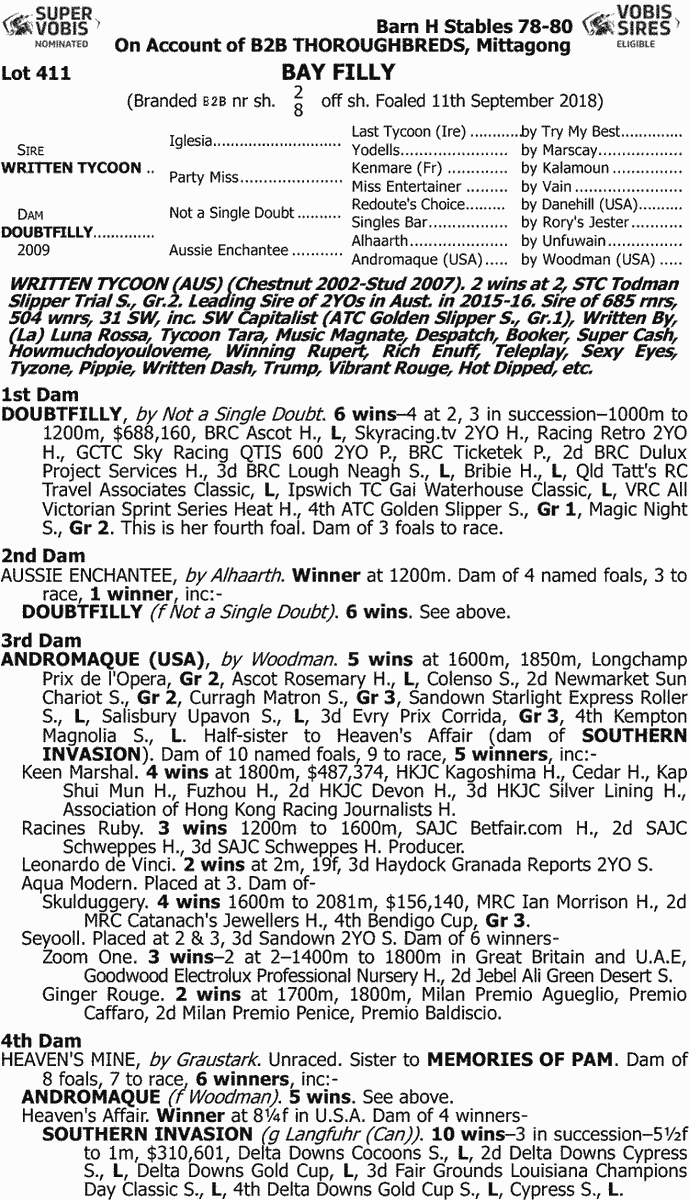 B2BThoroughbred's tweet photo. B2B Thoroughbreds is pleased to present LOT 411 at @inglis_sales easter. A Speed Filly by Champion Stallion Written Tycoon, out of multiple stakes winning mare Doubtfilly.  She is a very precocious 2 Year Old type!

View her in action: https://t.co/2ciICBpuWU https://t.co/nXVMSMXCnG