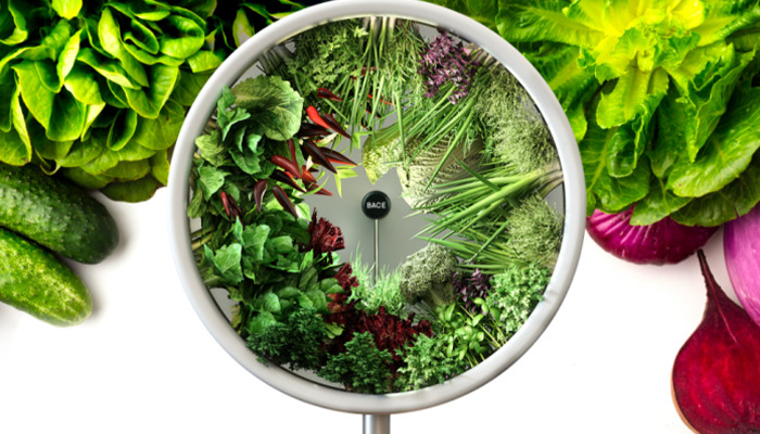 launchup_'s tweet photo. You have to own one of these before it's too late! @kickbooster #kickbooster https://t.co/X8jLm33B0t #nasa #indoorgarden #vegan #HealthyAtHome #healthylifestyle #vegetarian #launchup https://t.co/EA3BDCTTfT