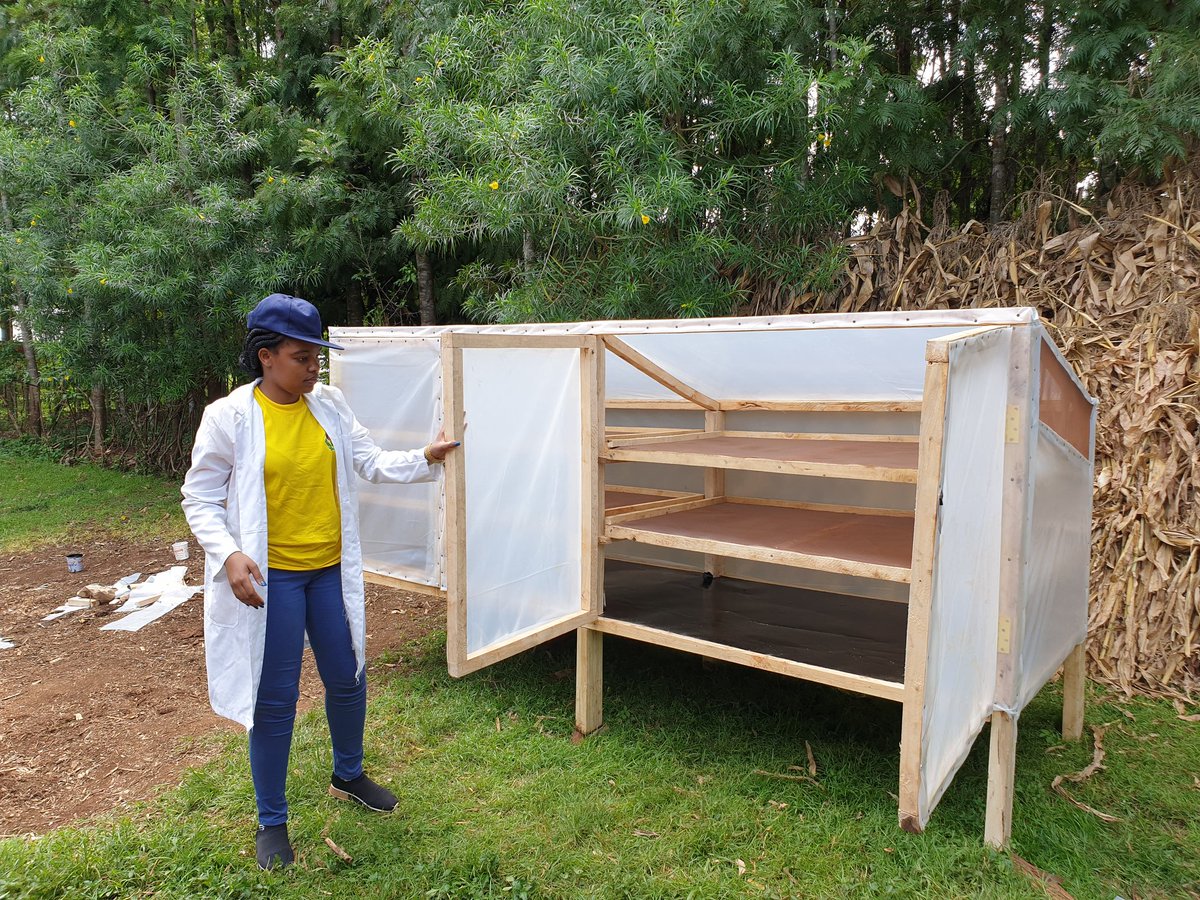 steffi_maingi's tweet photo. Dear #Youth; While giving up is easy &amp; relieving, it is never a solution. Always see opportunity in every challenge and move to seize it. Cultivating a positive mindset is what we must do. Let's drive #ClimateAction and turn challenges into opportunities #InnovativeVolunteerism https://t.co/fb0WlBvPYO