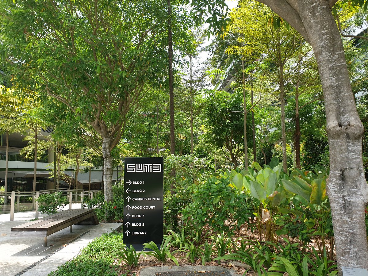 Berrak Sisman tweet media